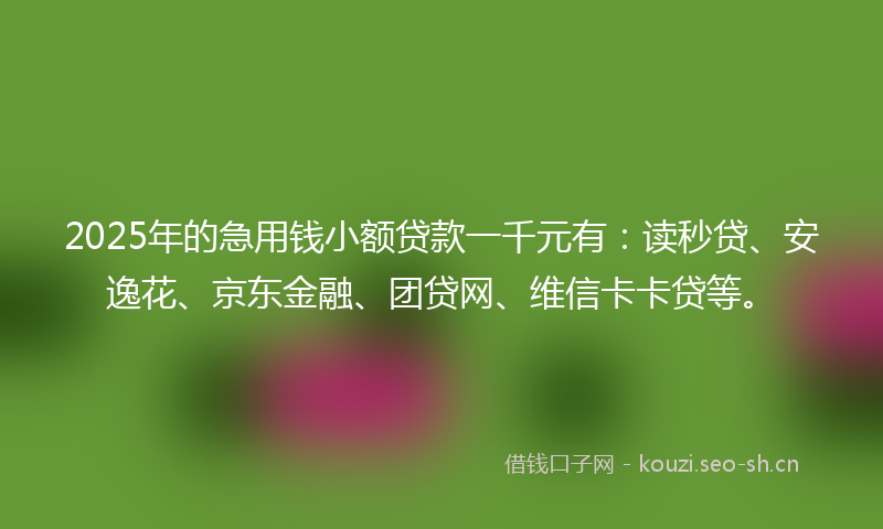 2025年的急用钱小额贷款一千元有：读秒贷、安逸花、京东金融、团贷网、维信卡卡贷等。