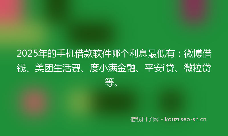 2025年的手机借款软件哪个利息最低有：微博借钱、美团生活费、度小满金融、平安i贷、微粒贷等。