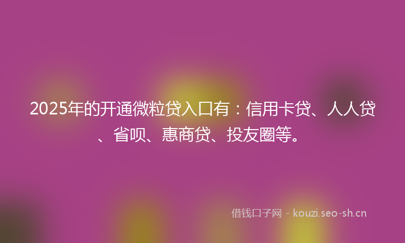 2025年的开通微粒贷入口有：信用卡贷、人人贷、省呗、惠商贷、投友圈等。