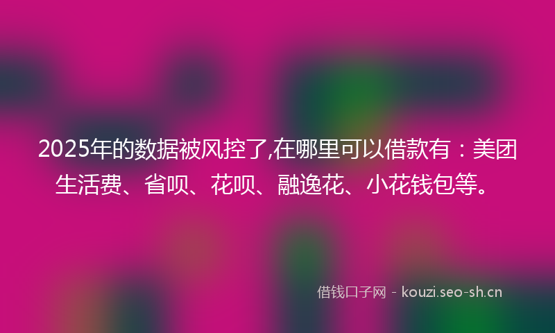 2025年的数据被风控了,在哪里可以借款有：美团生活费、省呗、花呗、融逸花、小花钱包等。