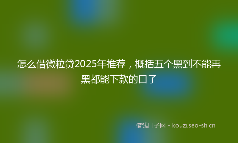 怎么借微粒贷2025年推荐，概括五个黑到不能再黑都能下款的口子