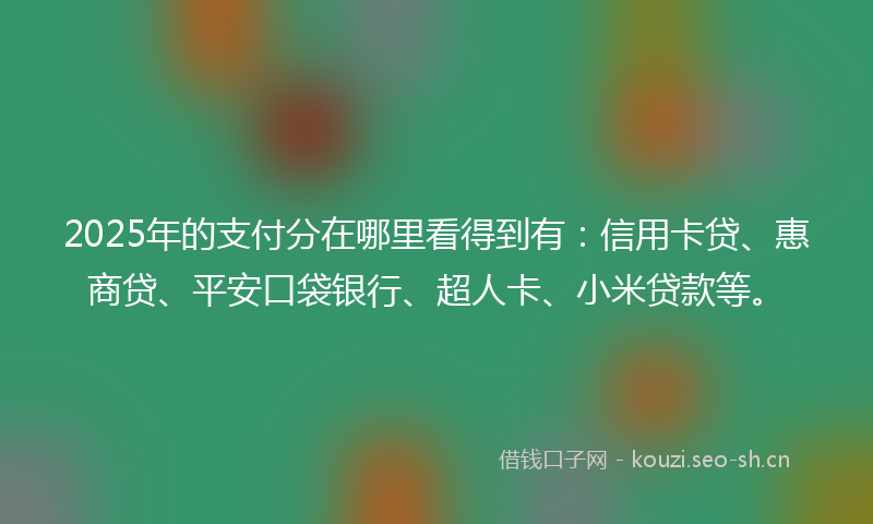 2025年的支付分在哪里看得到有:信用卡贷、惠商贷、平安口袋银行、超人卡、小米贷款等。