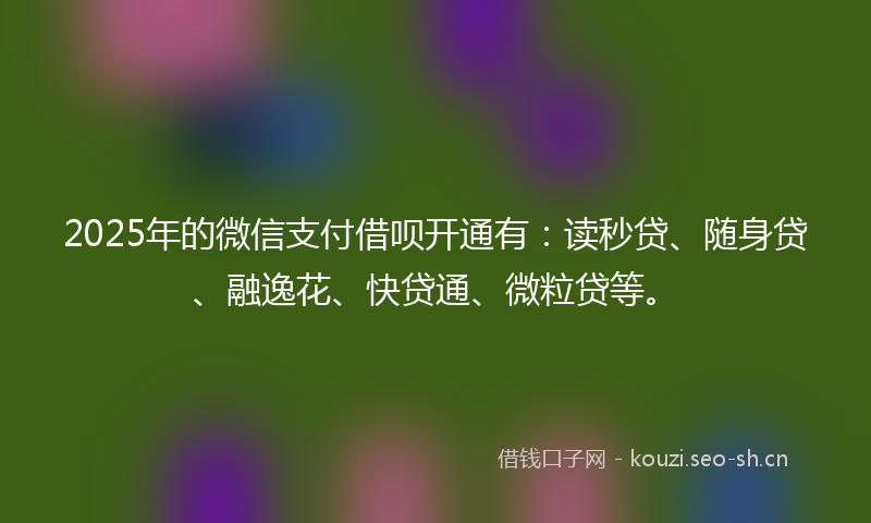 2025年的微信支付借呗开通有：读秒贷、随身贷、融逸花、快贷通、微粒贷等。