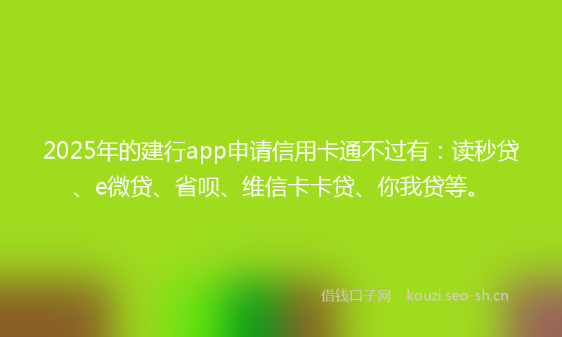 2025年的建行app申请信用卡通不过有：读秒贷、e微贷、省呗、维信卡卡贷、你我贷等。
