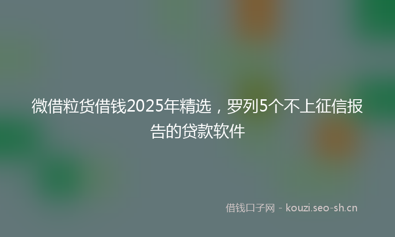 微借粒货借钱2025年精选，罗列5个不上征信报告的贷款软件