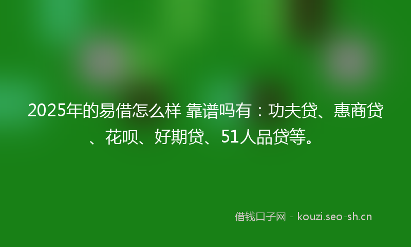2025年的易借怎么样 靠谱吗有：功夫贷、惠商贷、花呗、好期贷、51人品贷等。