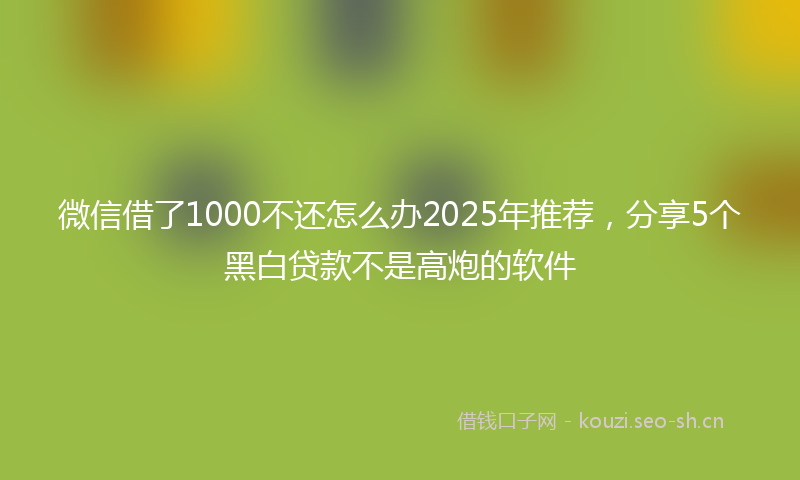 微信借了1000不还怎么办2025年推荐，分享5个黑白贷款不是高炮的软件