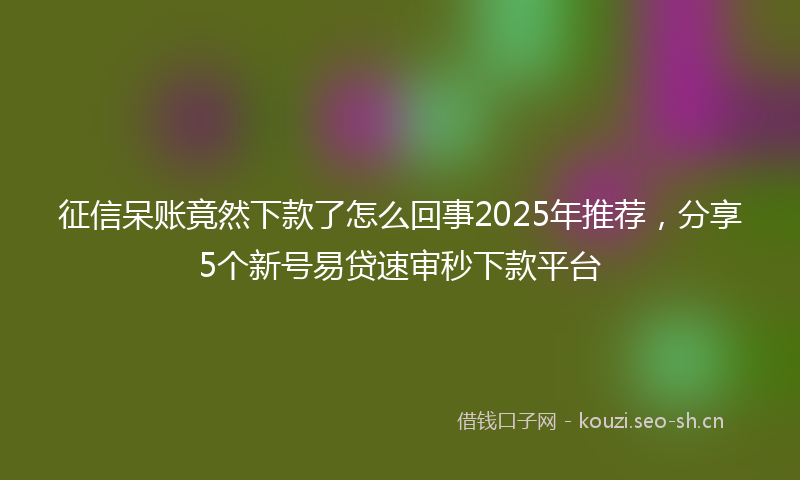 征信呆账竟然下款了怎么回事2025年推荐，分享5个新号易贷速审秒下款平台
