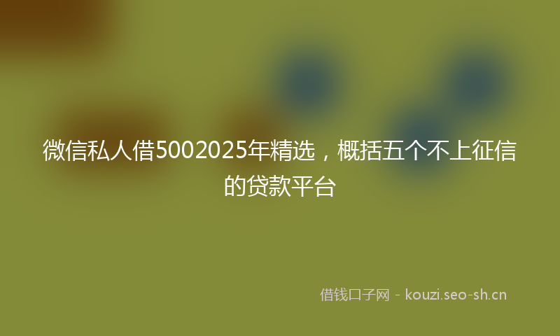 微信私人借5002025年精选，概括五个不上征信的贷款平台