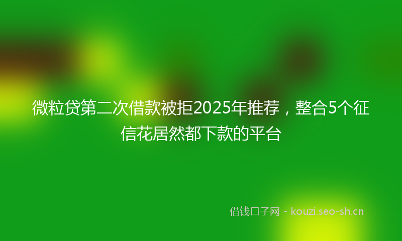 微粒贷第二次借款被拒2025年推荐，整合5个征信花居然都下款的平台