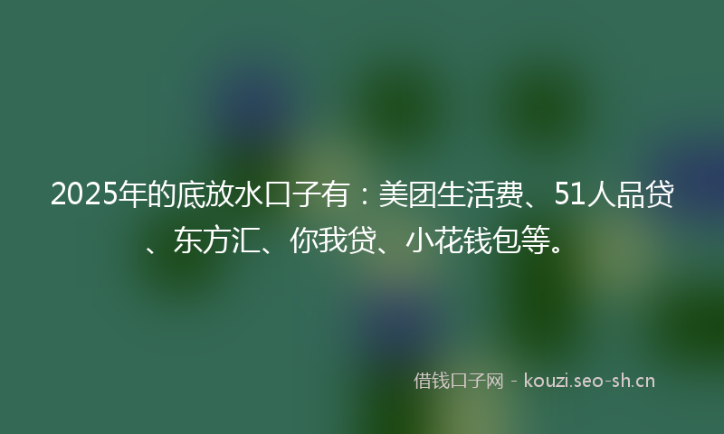2025年的底放水口子有：美团生活费、51人品贷、东方汇、你我贷、小花钱包等。