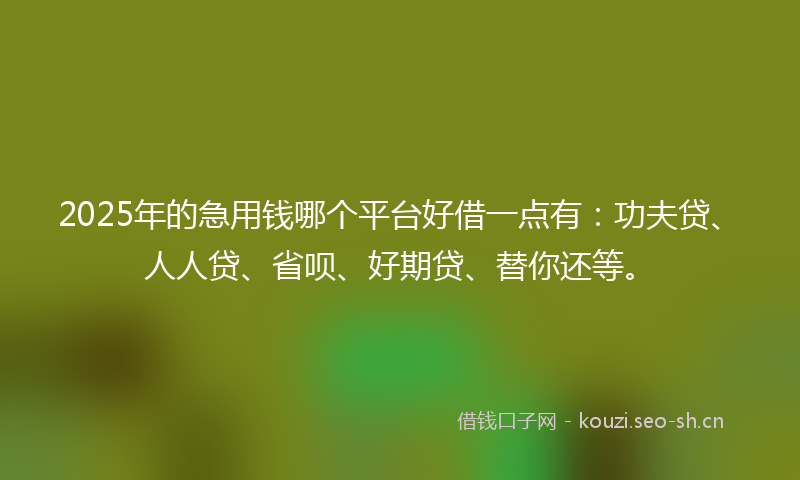 2025年的急用钱哪个平台好借一点有：功夫贷、人人贷、省呗、好期贷、替你还等。