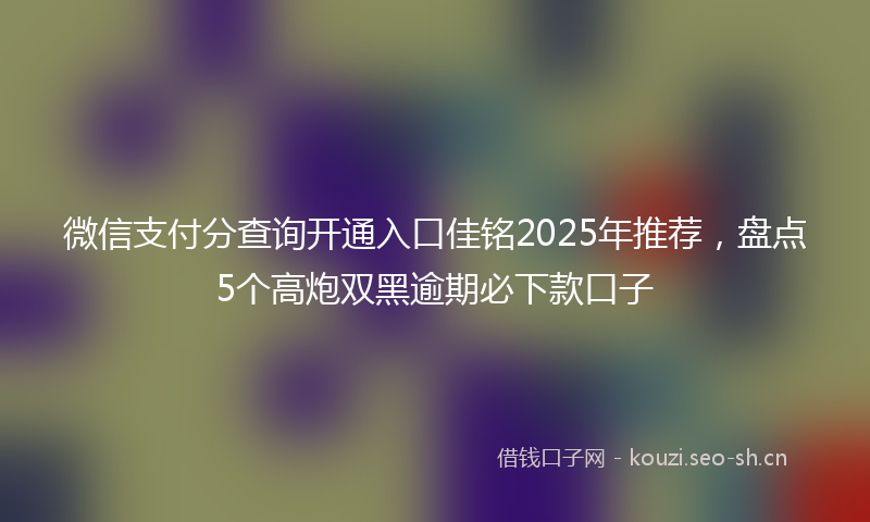 微信支付分查询开通入口佳铭2025年推荐，盘点5个高炮双黑逾期必下款口子