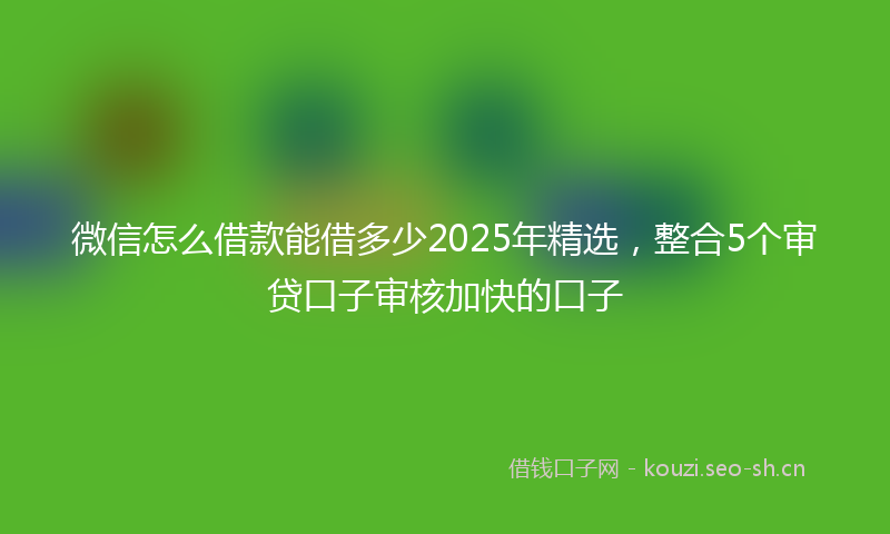 微信怎么借款能借多少2025年精选，整合5个审贷口子审核加快的口子