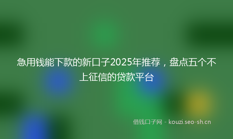 急用钱能下款的新口子2025年推荐，盘点五个不上征信的贷款平台