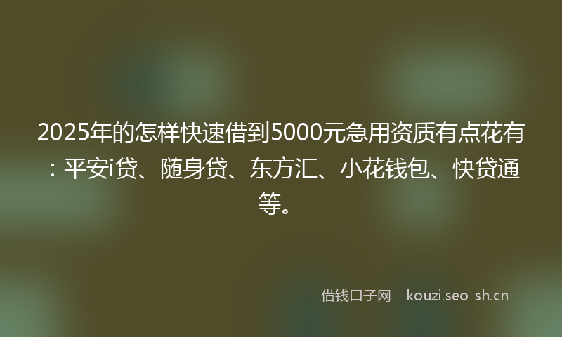 2025年的怎样快速借到5000元急用资质有点花有：平安i贷、随身贷、东方汇、小花钱包、快贷通等。