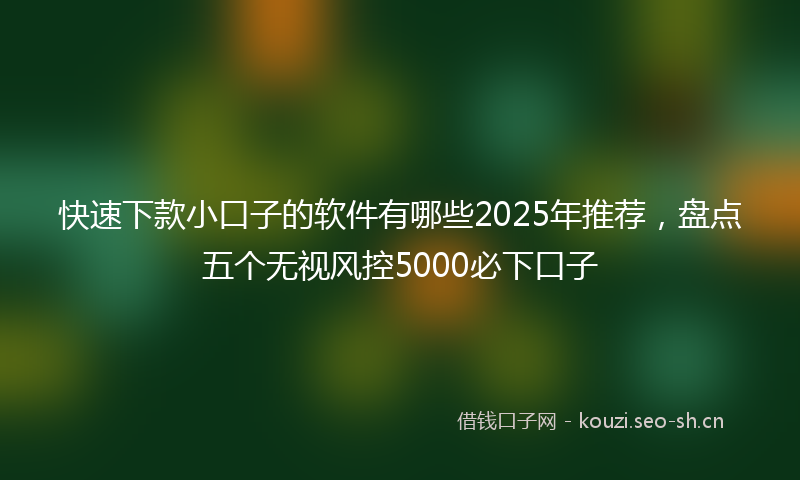 快速下款小口子的软件有哪些2025年推荐，盘点五个无视风控5000必下口子