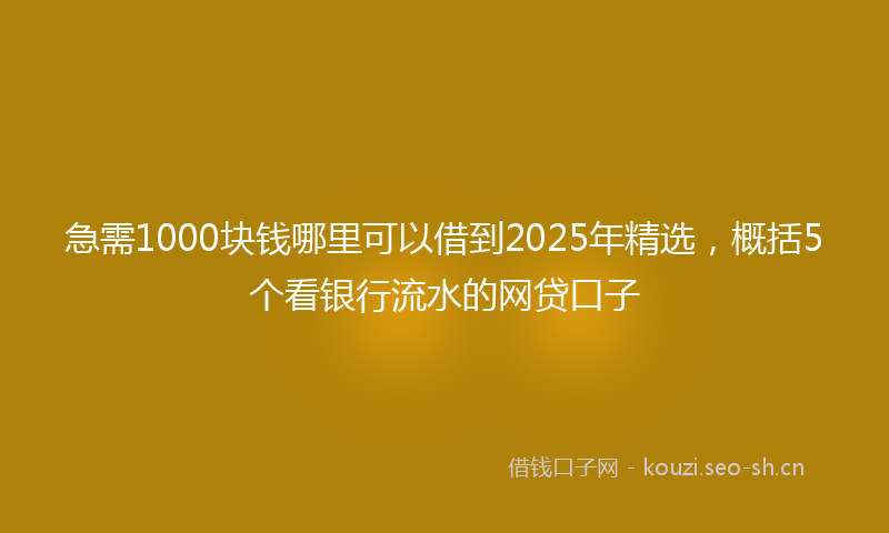 急需1000块钱哪里可以借到2025年精选，概括5个看银行流水的网贷口子