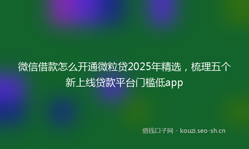 微信借款怎么开通微粒贷2025年精选，梳理五个新上线贷款平台门槛低app