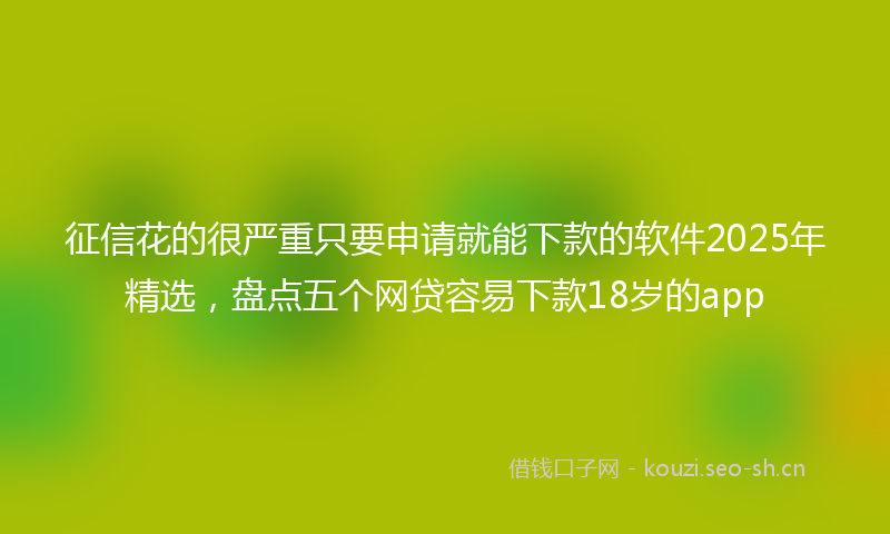征信花的很严重只要申请就能下款的软件2025年精选，盘点五个网贷容易下款18岁的app