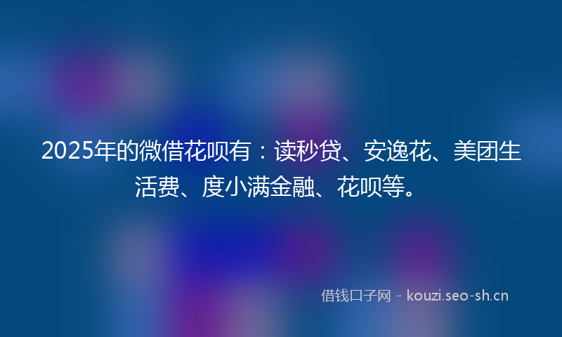 2025年的微借花呗有：读秒贷、安逸花、美团生活费、度小满金融、花呗等。