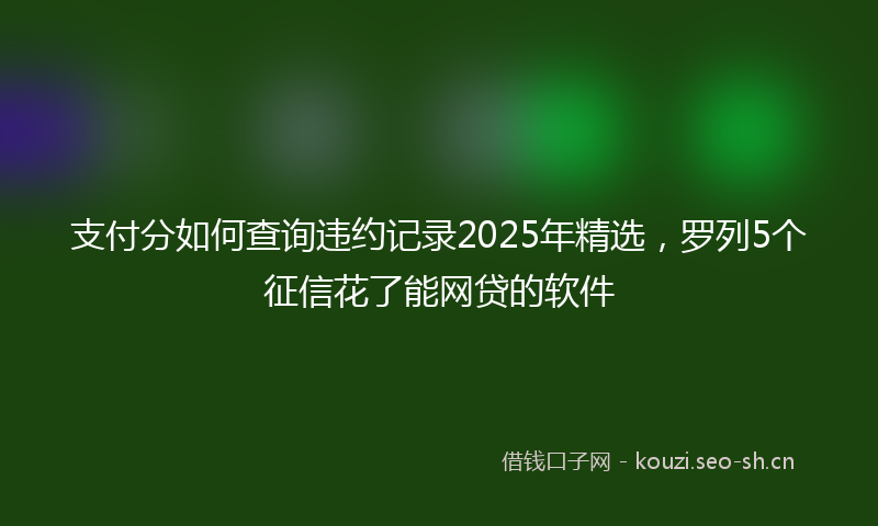 支付分如何查询违约记录2025年精选，罗列5个征信花了能网贷的软件
