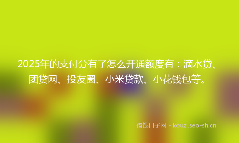 2025年的支付分有了怎么开通额度有：滴水贷、团贷网、投友圈、小米贷款、小花钱包等。