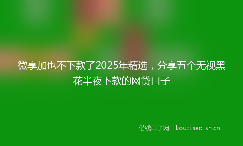 微享加也不下款了2025年精选，分享五个无视黑花半夜下款的网贷口子