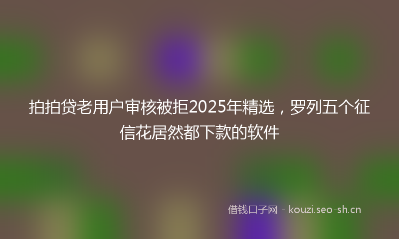 拍拍贷老用户审核被拒2025年精选，罗列五个征信花居然都下款的软件