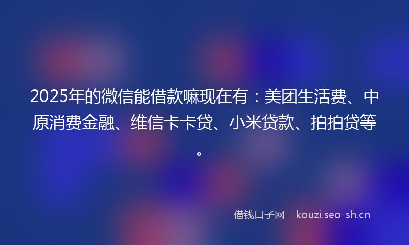 2025年的微信能借款嘛现在有：美团生活费、中原消费金融、维信卡卡贷、小米贷款、拍拍贷等。