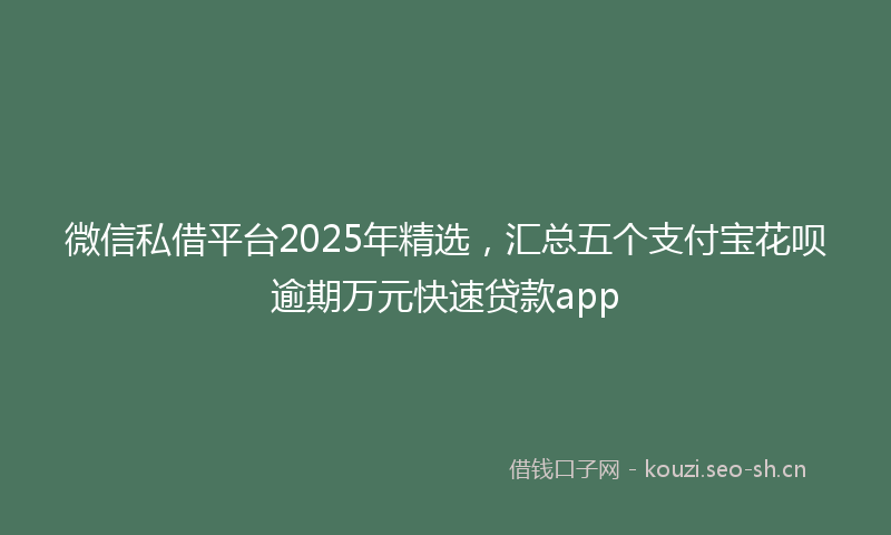微信私借平台2025年精选，汇总五个支付宝花呗逾期万元快速贷款app