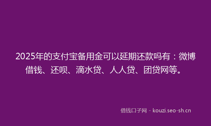 2025年的支付宝备用金可以延期还款吗有：微博借钱、还呗、滴水贷、人人贷、团贷网等。