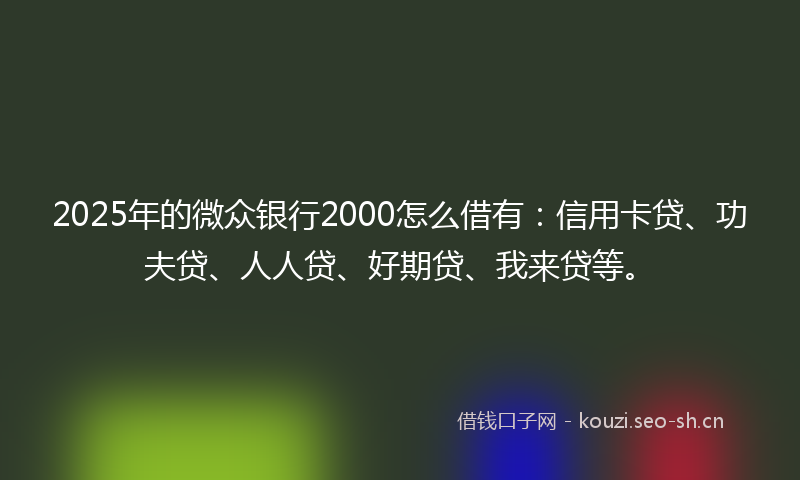2025年的微众银行2000怎么借有：信用卡贷、功夫贷、人人贷、好期贷、我来贷等。