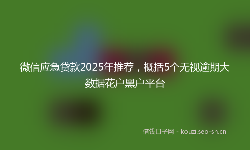 微信应急贷款2025年推荐，概括5个无视逾期大数据花户黑户平台