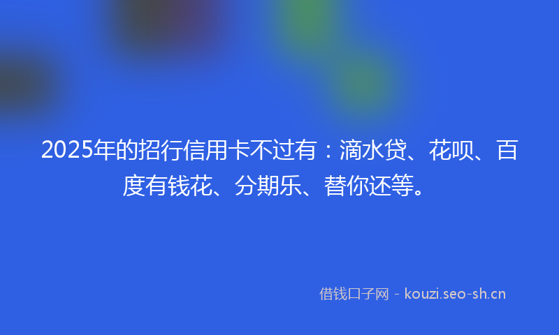 2025年的招行信用卡不过有：滴水贷、花呗、百度有钱花、分期乐、替你还等。
