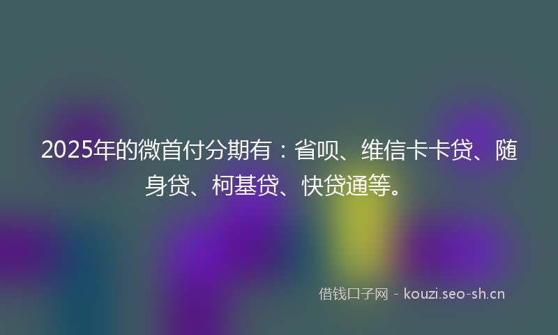 2025年的微首付分期有：省呗、维信卡卡贷、随身贷、柯基贷、快贷通等。