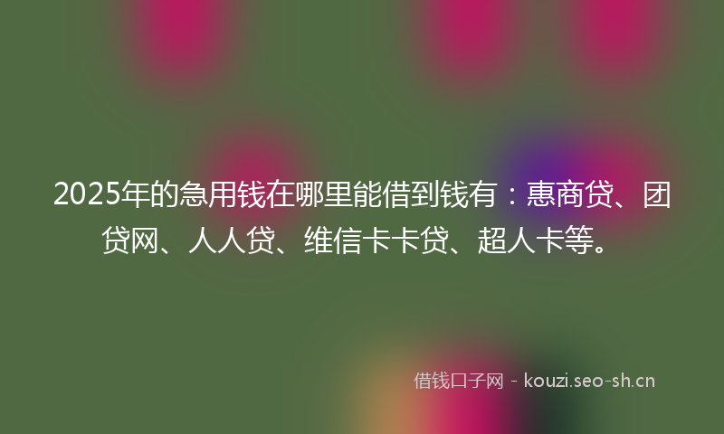 2025年的急用钱在哪里能借到钱有：惠商贷、团贷网、人人贷、维信卡卡贷、超人卡等。