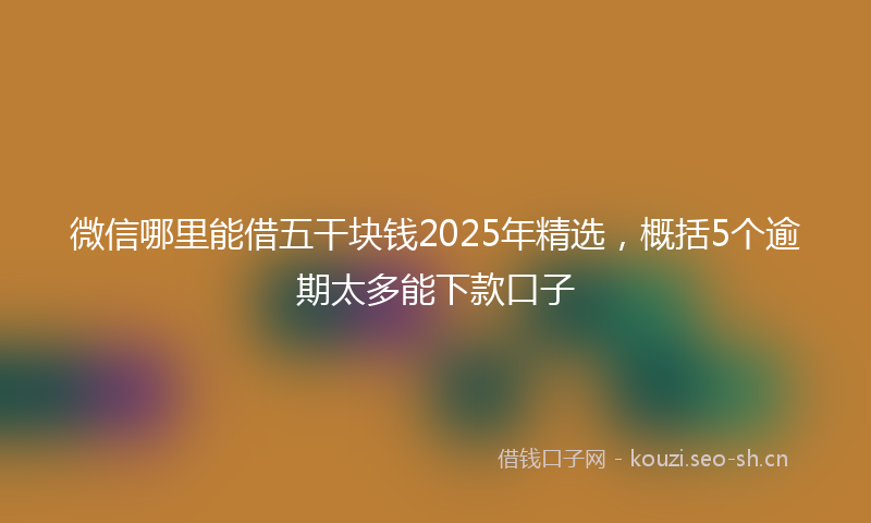 微信哪里能借五干块钱2025年精选，概括5个逾期太多能下款口子