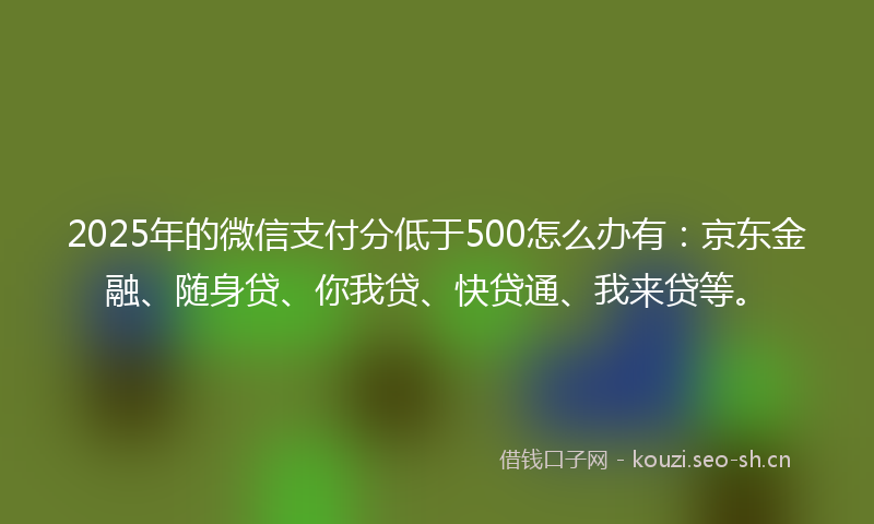 2025年的微信支付分低于500怎么办有：京东金融、随身贷、你我贷、快贷通、我来贷等。