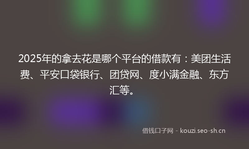 2025年的拿去花是哪个平台的借款有：美团生活费、平安口袋银行、团贷网、度小满金融、东方汇等。