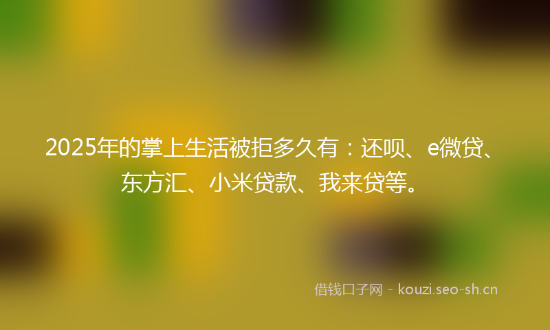 2025年的掌上生活被拒多久有：还呗、e微贷、东方汇、小米贷款、我来贷等。