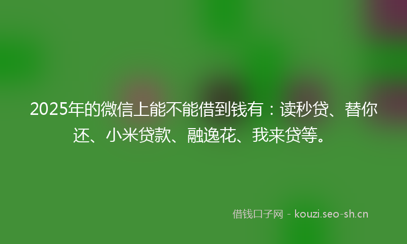 2025年的微信上能不能借到钱有：读秒贷、替你还、小米贷款、融逸花、我来贷等。