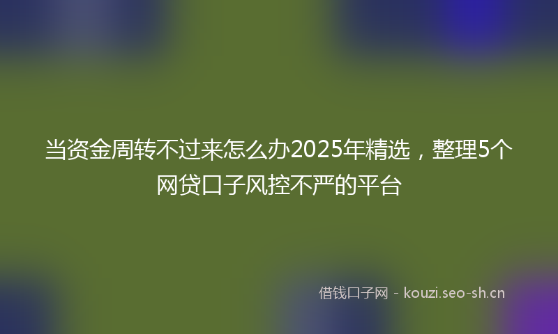 当资金周转不过来怎么办2025年精选,整理5个网贷口子风控不严的平台