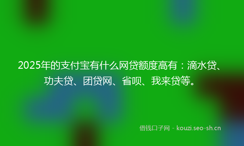 2025年的支付宝有什么网贷额度高有：滴水贷、功夫贷、团贷网、省呗、我来贷等。