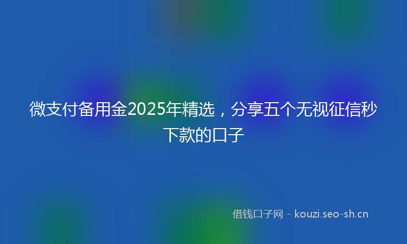 微支付备用金2025年精选，分享五个无视征信秒下款的口子