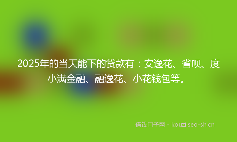 2025年的当天能下的贷款有：安逸花、省呗、度小满金融、融逸花、小花钱包等。