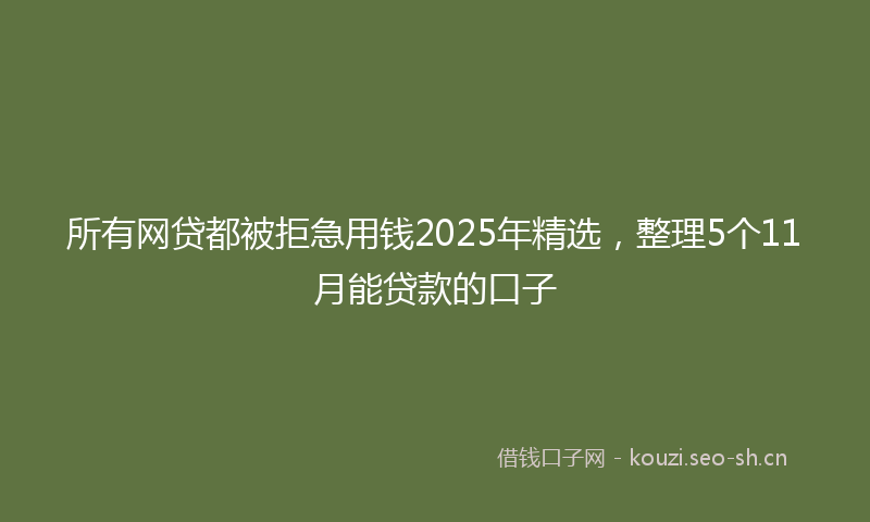 所有网贷都被拒急用钱2025年精选，整理5个11月能贷款的口子