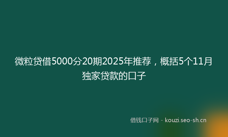 微粒贷借5000分20期2025年推荐,概括5个11月独家贷款的口子