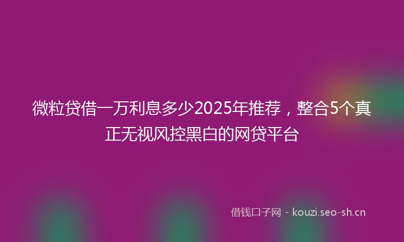 微粒贷借一万利息多少2025年推荐，整合5个真正无视风控黑白的网贷平台