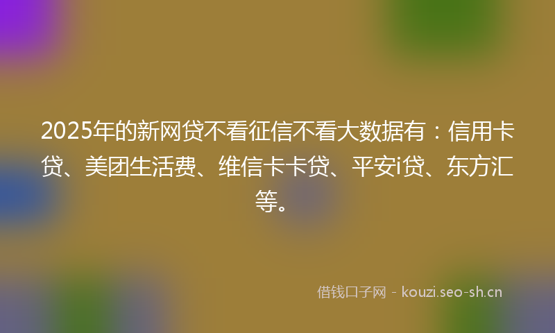 2025年的新网贷不看征信不看大数据有：信用卡贷、美团生活费、维信卡卡贷、平安i贷、东方汇等。